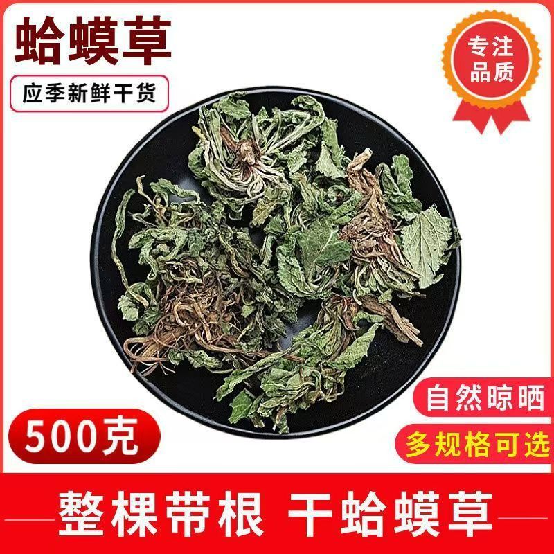 Dried Toad Herb Ha Ma Cao 蛤蟆草 Salvia plebeia Whole Herb 500g for Culinary Herbal Use - Image 3
