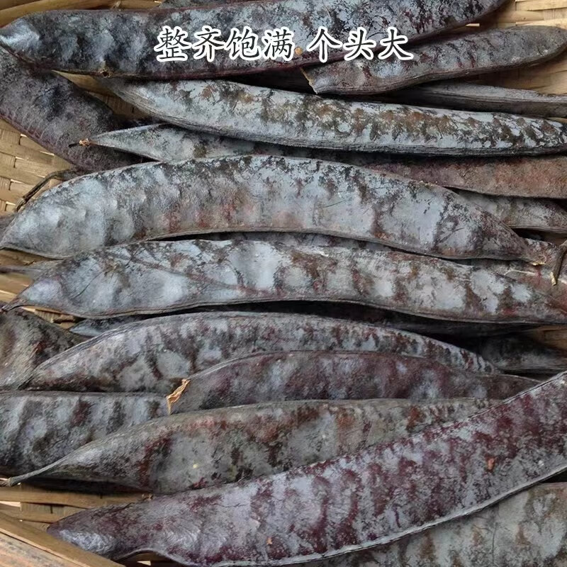 Whole Chinese Honey Locust Pods Zao Jiao 500g Dried Gleditsia sinensis Traditional Herbal Decoction Pieces - Image 2