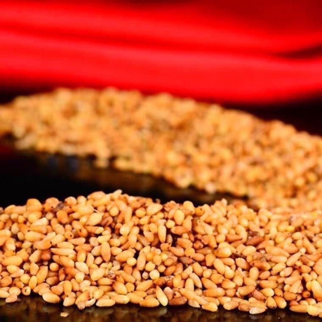 Bai Zi Ren (Platycladus orientalis Seed) — Wild-Harvested Shelled Arborvitae Seeds, Dried Food Herb - Image 3