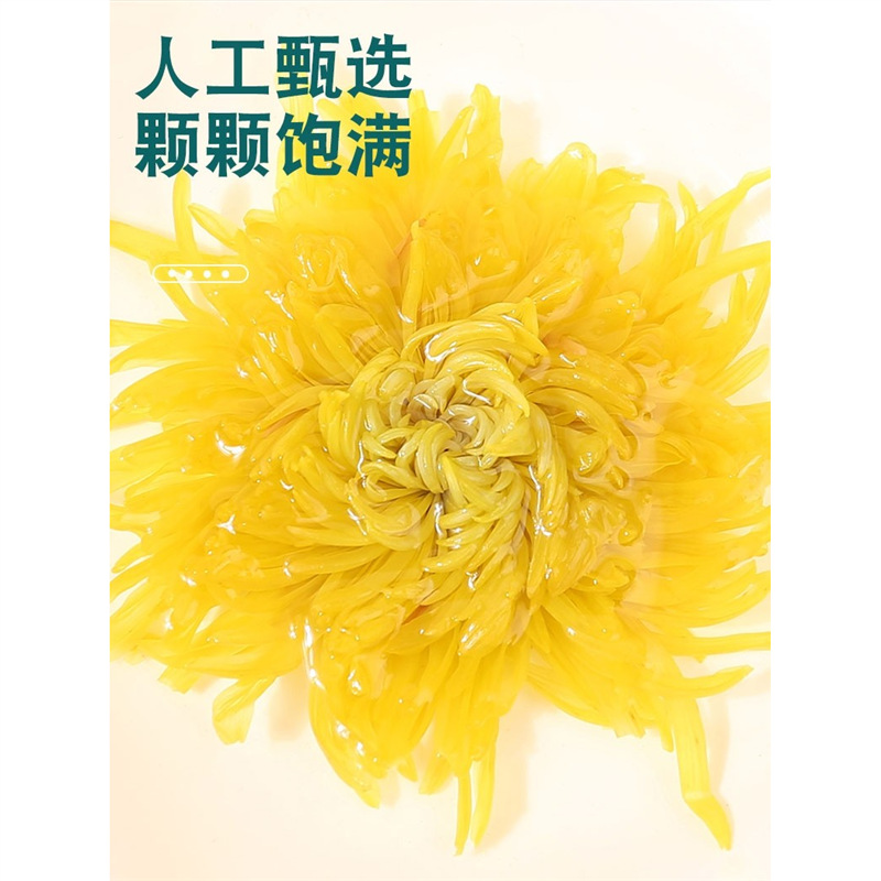 Chrysanthemum Tea Large Golden Silk Huang Ju Blooms 500g Loose Flower Tea for Hot Brewing - Image 4