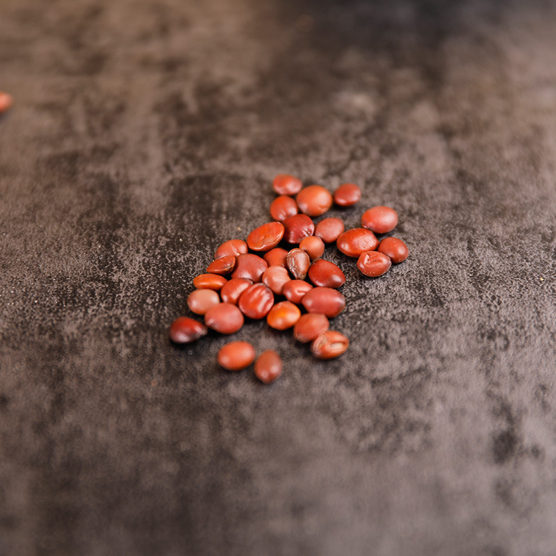 Sour Jujube Seed Suan Zao Ren Stir-Fried Dried Herb 500g Bag Hebei Origin Traditional Sleep Support - Image 2