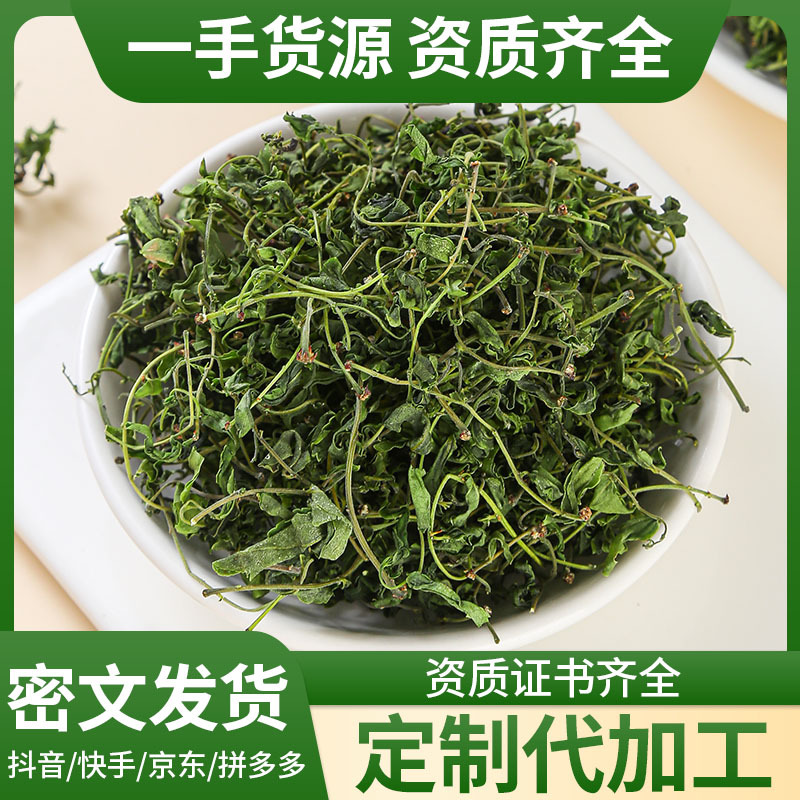 Suan Zao Ya Tea (Ziziphus jujuba var. spinosa) — First-Flush Wild Jujube Leaf Buds, 500g - Image 2