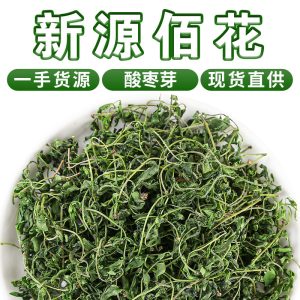 Suan Zao Ya (Ziziphus jujuba var. spinosa Sprouts) — Dried Wild Jujube Sprout Tea, 500g