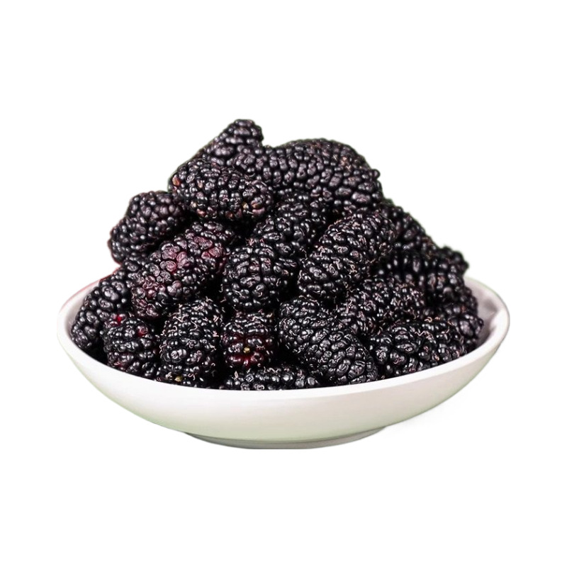 Premium Dried Mulberries Sang Shen 500g Large Whole Berries for Tea Snacks and Culinary Use - Image 5