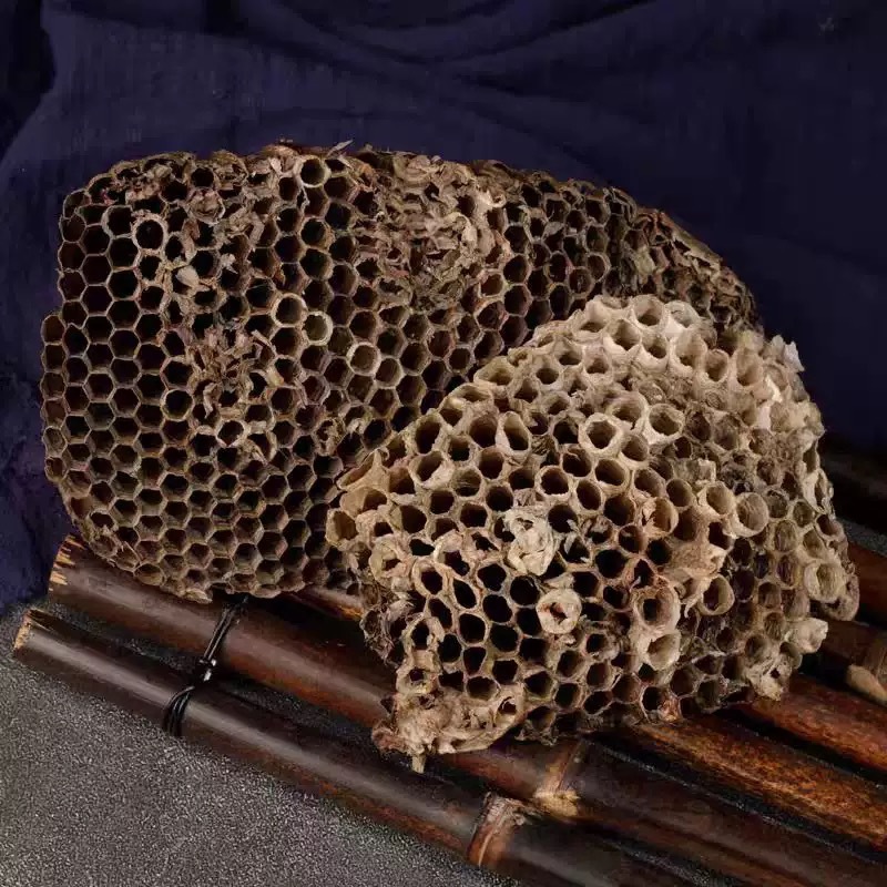 Feng Fang (Vespae Nidus) — Dried Hornet Nest Herb for TCM Decoction & External Use - Image 2