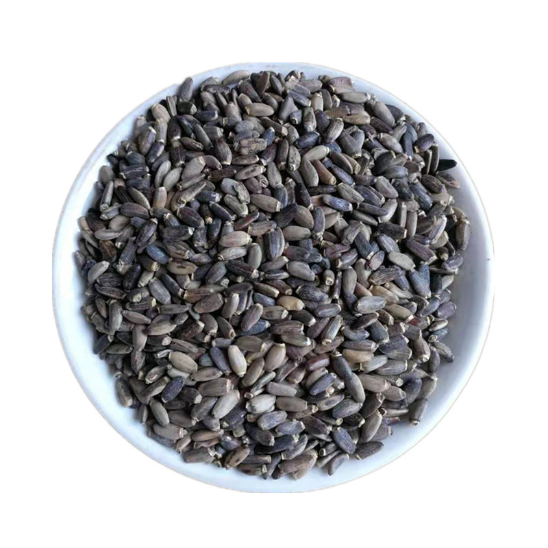 Milk Thistle Seeds (Silybum marianum) — Dried Shui Fei Ji Food Herb, 500g - Image 5