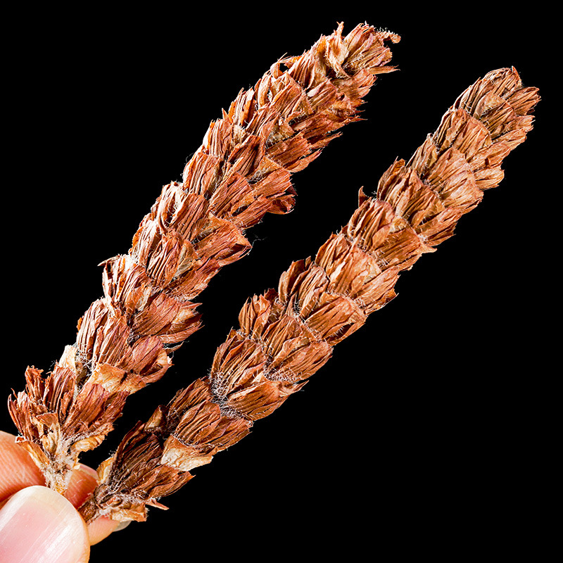 Xia Ku Cao (Prunella vulgaris) — Dried Selfheal Flower Spikes for Herbal Tea & Cooling Drinks - Image 4