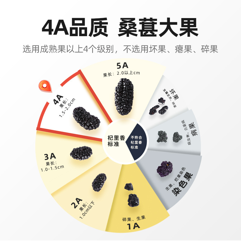 Dried Mulberry Fruit 60g Bag Sang Shen Dried Black Mulberry for Tea and Wine Soaking - Image 3