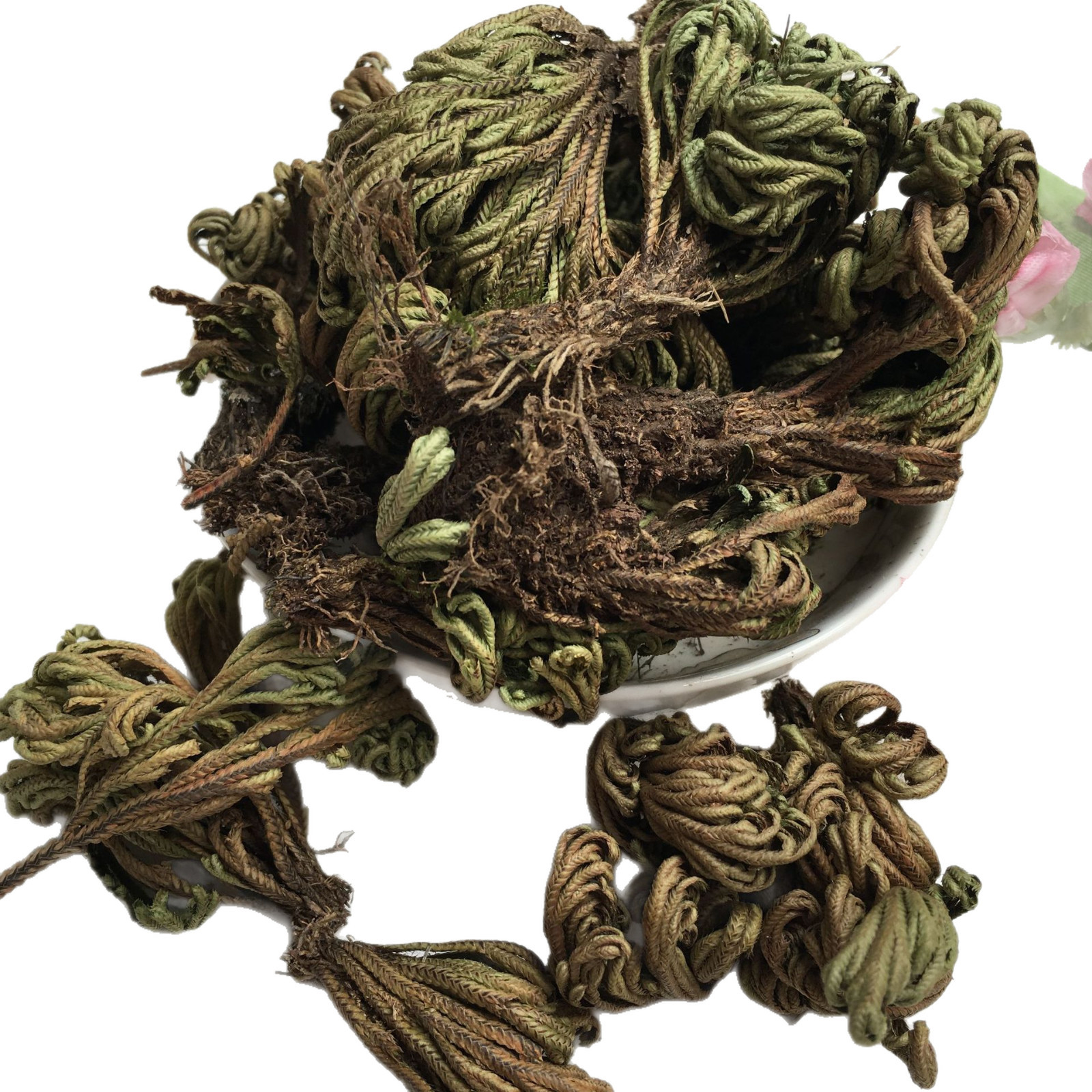 Dried Selaginella Juan Bai 500g Whole Herb Resurrection Grass Traditional TCM Botanical - Image 5