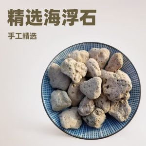 Hai Fu Shi (Pumice / Costazia aculeata) — Dried Mineral Herb for TCM Decoction