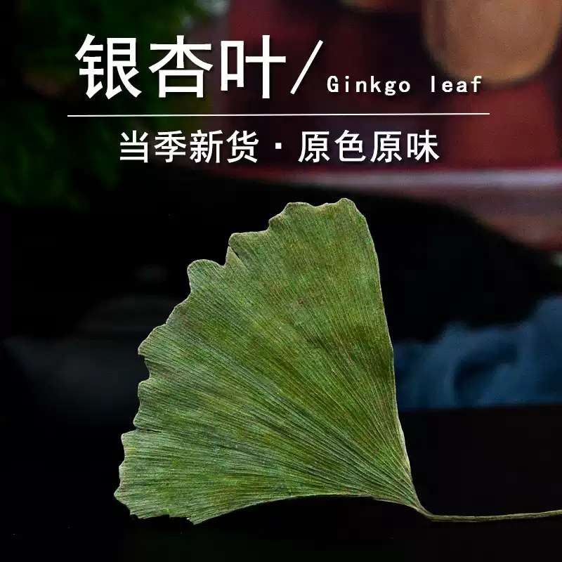 Dried Ginkgo Leaf Ye Xing Ye 500g Natural Sun Dried Herb for Tea and Infusions - Image 3