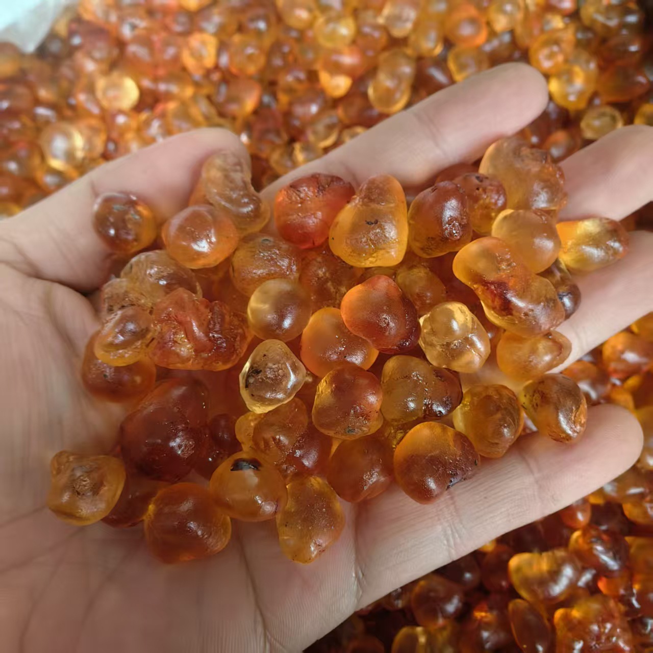 Large Granule Peach Gum Tao Jiao Dried Resin 500g Natural Culinary Herbal Ingredient - Image 2