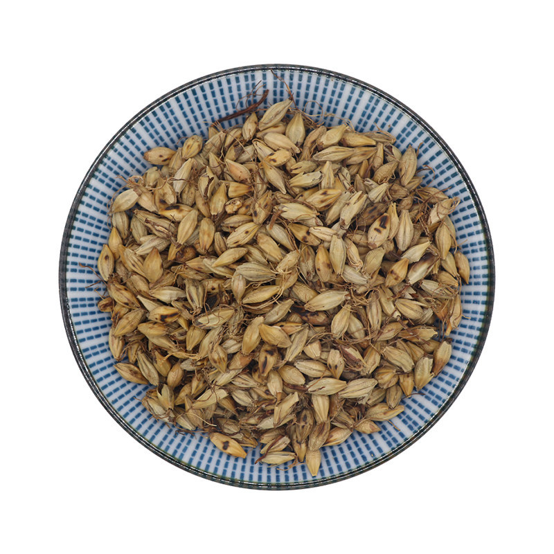 Fried Malt Germinated Barley Sprout Mai Ya 500g Dried Herb for Herbal Tea and Decoction - Image 5