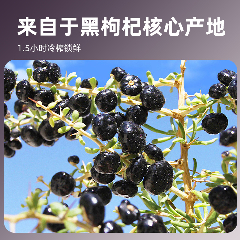 Black Goji Berry NFC Fresh Juice Concentrate 500ml Bottle 10 x 50ml Anthocyanin Rich - Image 3