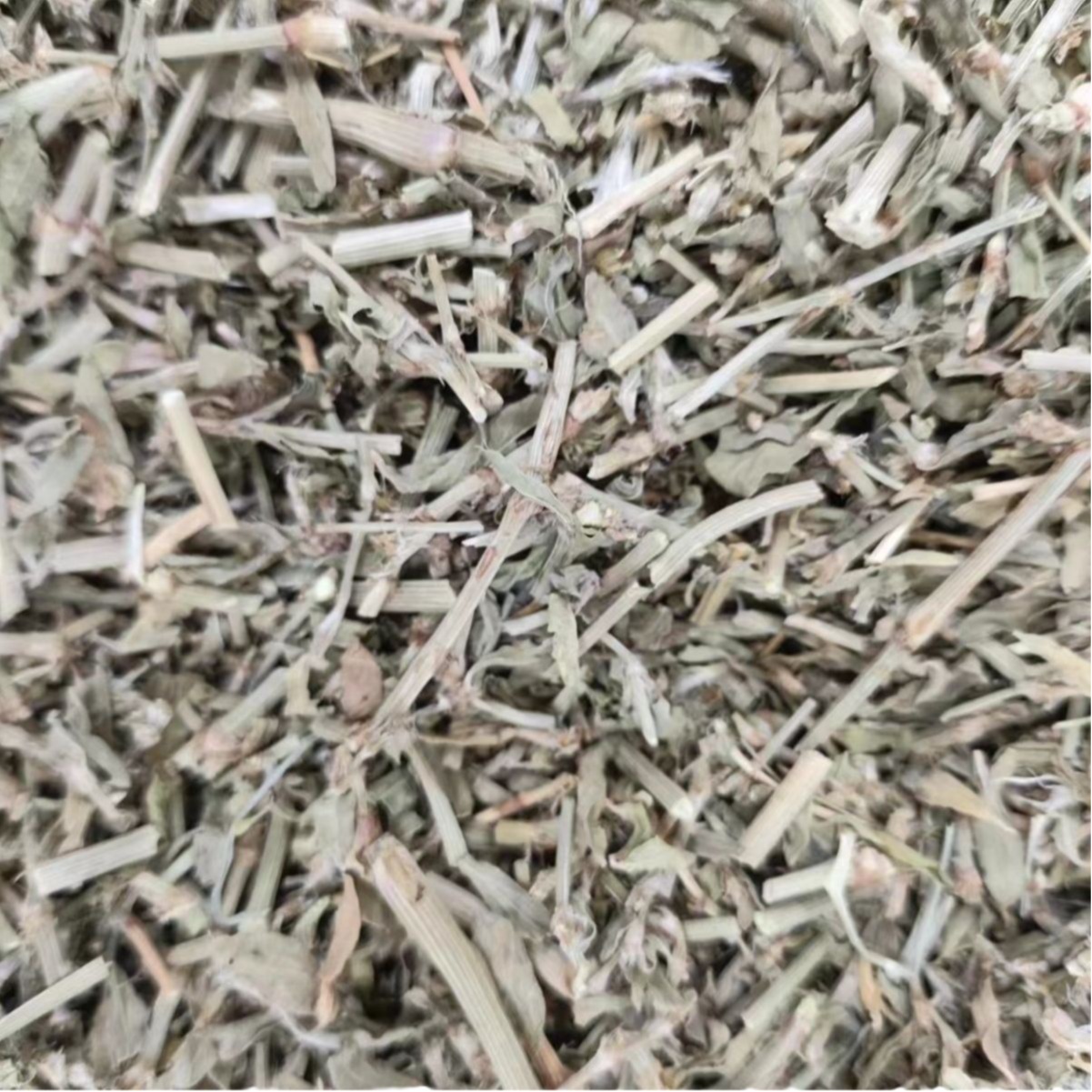 Bian Xu (Polygonum aviculare) — Dried Aerial Herb, Food-Herb for Tea & Decoction - Image 5