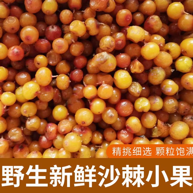 Sea Buckthorn Juice Puree 100 Percent Fresh Pressed 300ml Inner Mongolia - Image 5