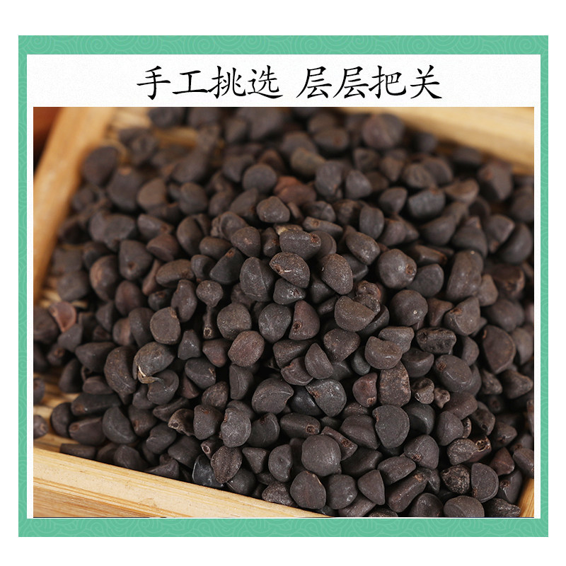 Black Morning Glory Seeds Hei Qian Niu Qian Niu Zi Dried Herb 500g Traditional TCM Decoction Ingredient - Image 3