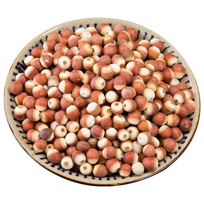 Dried Gorgon Fruit Seeds Qian Shi 500g Whole Red Skin Euryale Seeds for Soup Congee and Herbal Cooking - Image 5