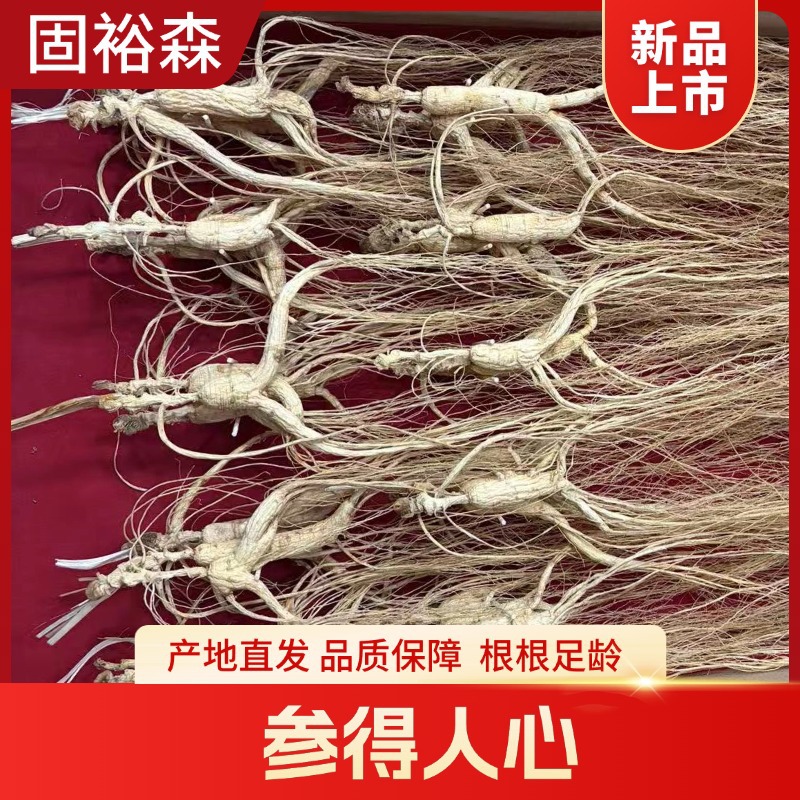 Dried Ginseng Roots 15-16 Years Jilin Grown Sun Dried Whole Roots for Cooking and Decoction - Image 3