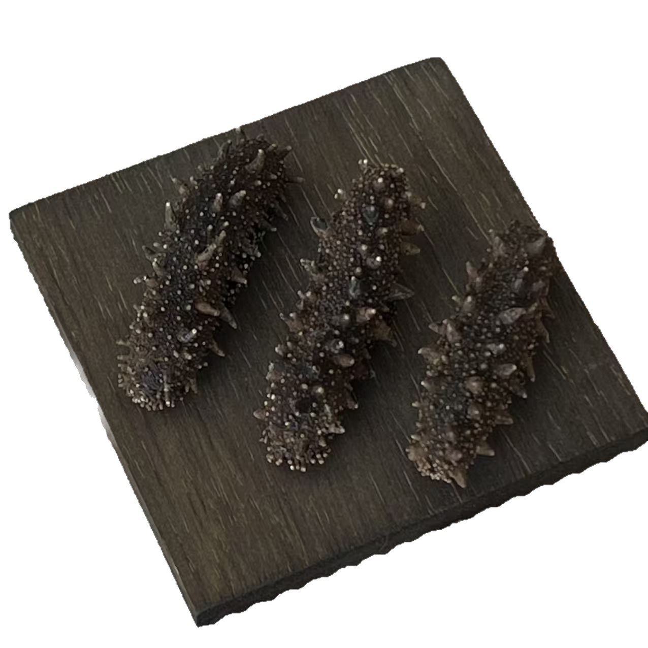Dried Sea Cucumber Pure Lightly Dried Dalian Sea Cucumber Thick Flesh 50g - Image 5