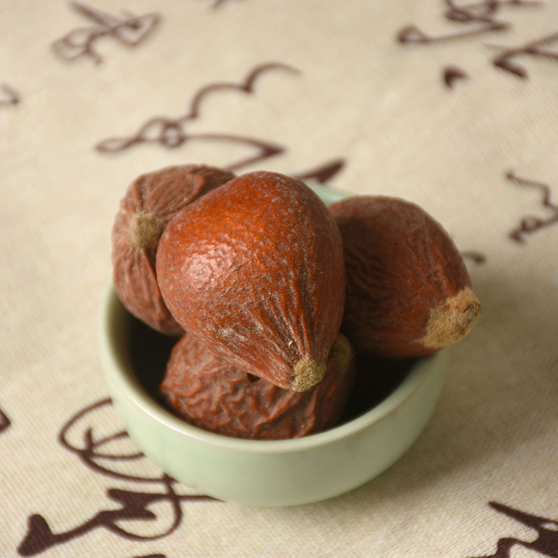 Tie Shu Guo (Cycas revoluta Seeds) — Dried Sago Palm Fruit, 500g Herbal Supply - Image 3