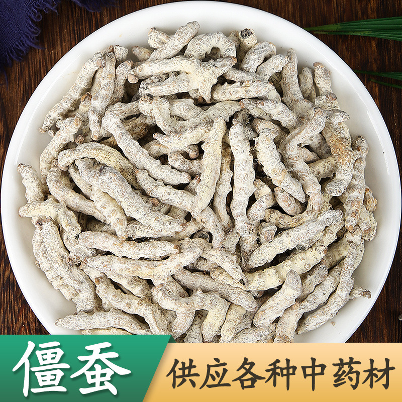 Jiang Can (Bombyx Batryticatus) — Dried White Stiff Silkworm for TCM Decoction & Powder - Image 2
