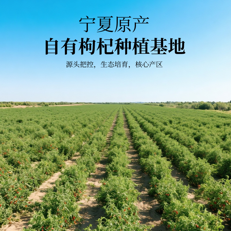 Ning'an Bao Premium First Harvest Goji Berries 90g Ningxia Wolfberry Individual Sachets Gift Set - Image 2