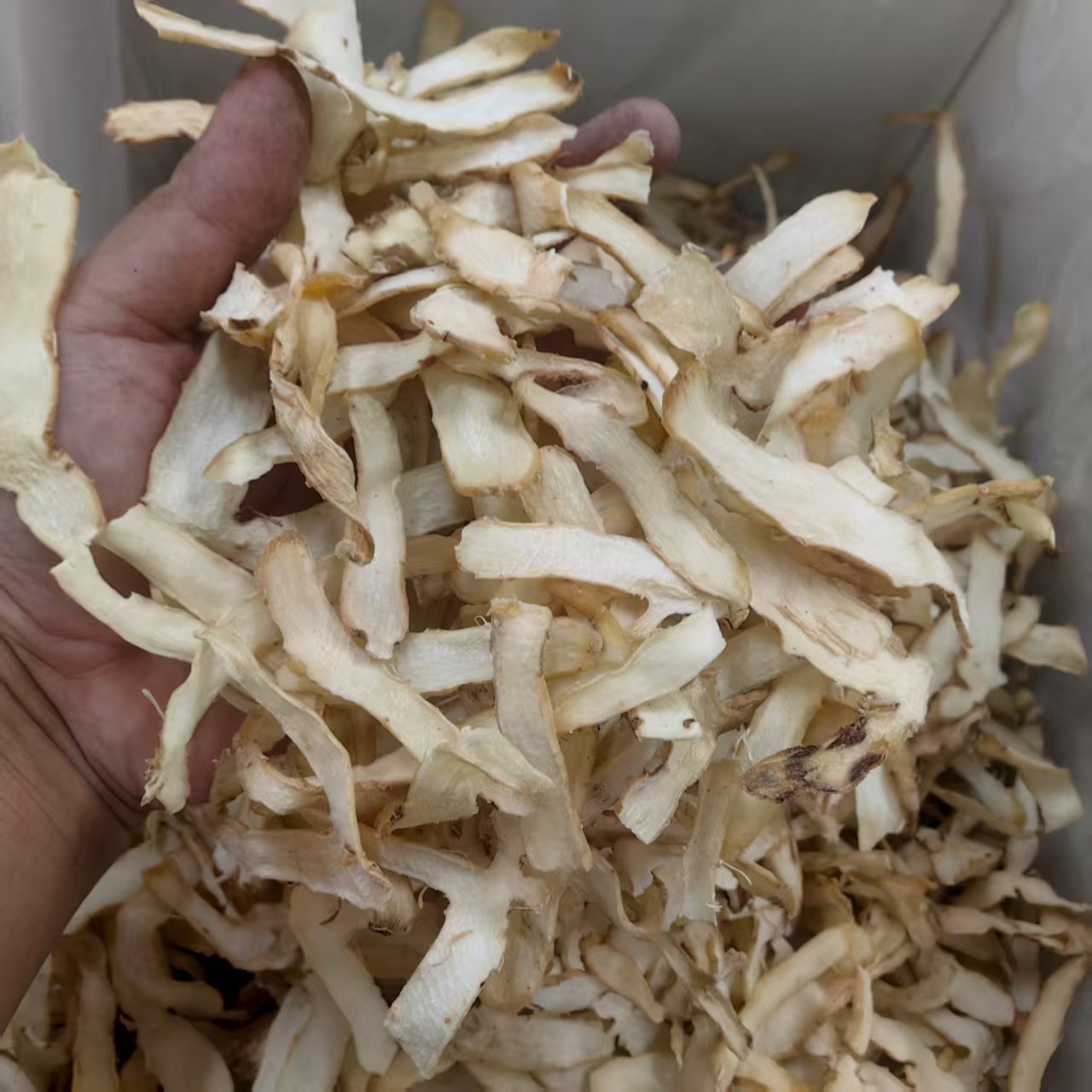 Yu Zhu Dried Polygonatum Root 500g Hunan Sulfur-Free Herbal Tea and Soup Ingredient - Image 2