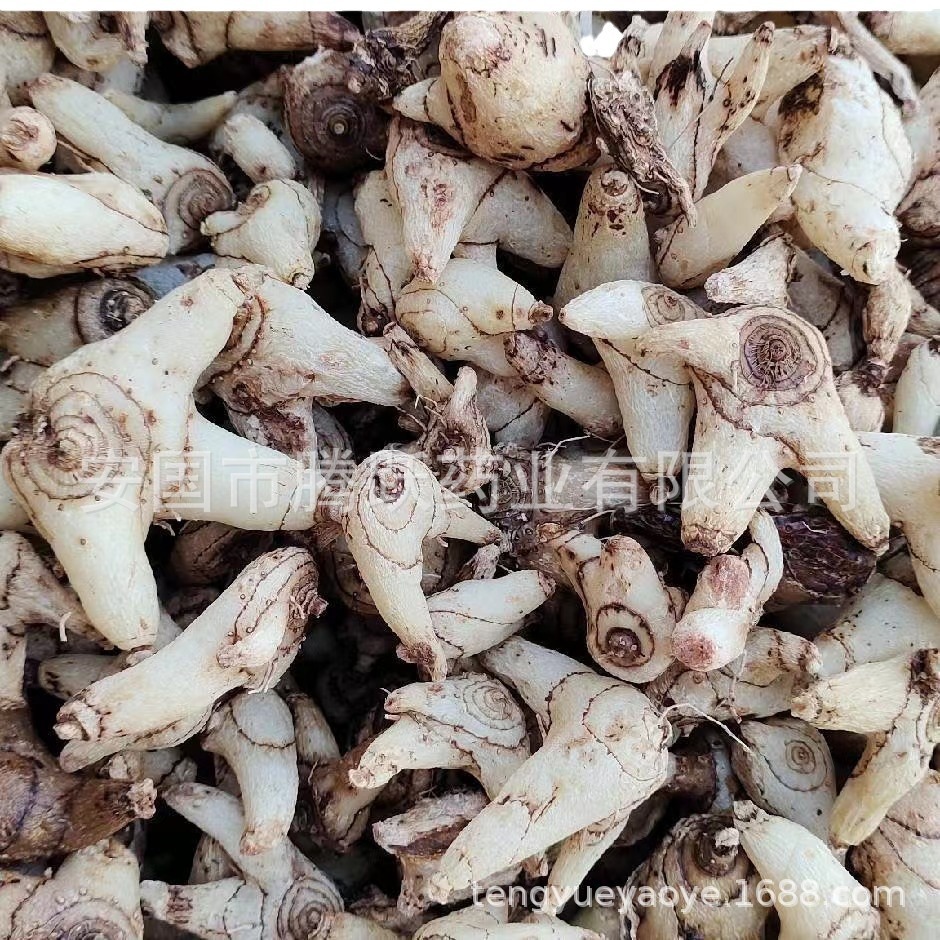 Dried Bletilla Rhizome Bai Ji 白芨 Whole Root Bulk Chinese Herb 500g - Image 5