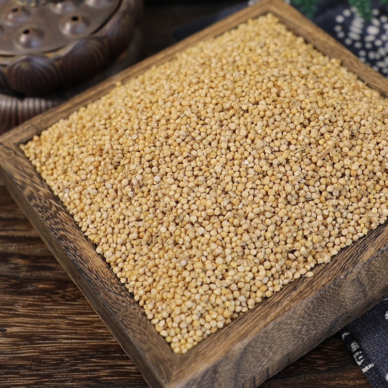 Dried Gu Ya Sprouted Rice Grain for Herbal Tea Soup and Daily Decoction 500g - Image 4