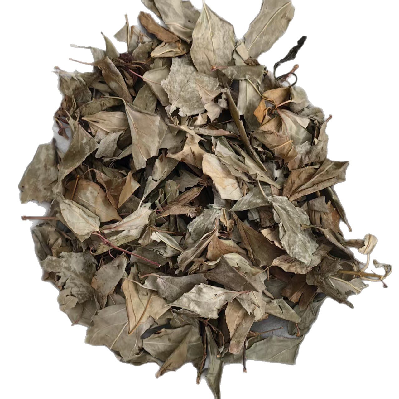 Dried Forsythia Leaf Tea Lian Qiao Ye 500g Sun Dried Herbal Tea Leaf from Shanxi - Image 5