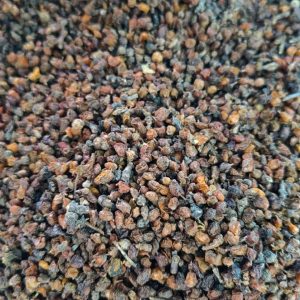 Sea Buckthorn Dried Leaf Tea (Hippophae rhamnoides) — Xinjiang & Inner Mongolia Herbal Tea 500g
