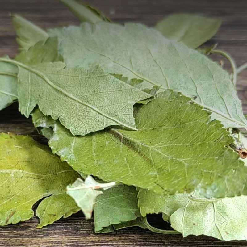 E Se Ye Russian Color Leaf Dried Herbal Tea Leaves Natural Sun Dried Bulk Weighted - Image 2