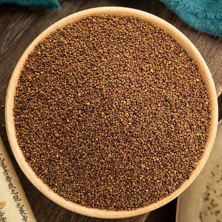 Dried Dodder Seed Tu Si Zi 500g Whole Herb for Tea Wine and Decoction Use - Image 4
