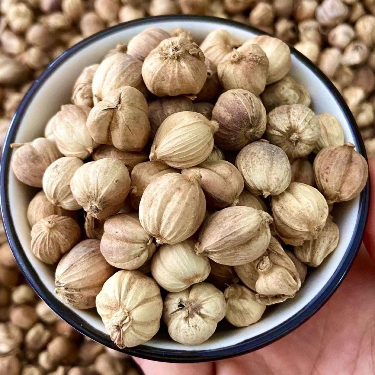 White Cardamom Powder (Amomum kravanh) — Aromatic Food-Herb Spice, Freshly Ground - Image 4