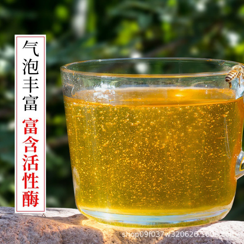 Baihua Honey Wildflower Honey 500g Bottle Raw Multi-Floral Honey from Farm Apiaries - Image 2