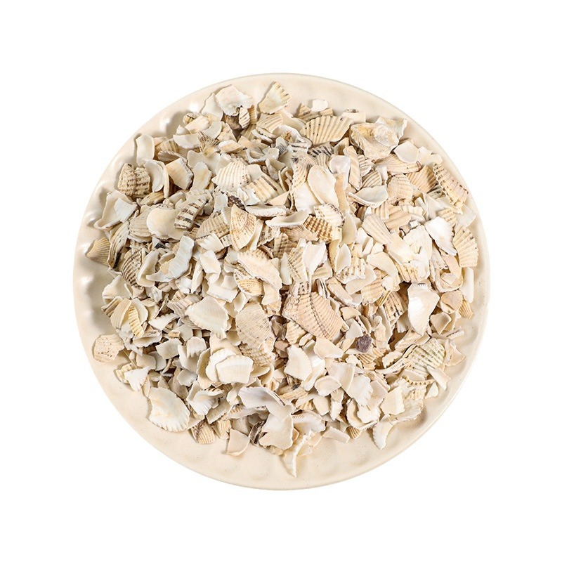 Wa Leng Zi (Calcined Concha Arcae) — Dried Shell Decoction Pieces, 500g - Image 5