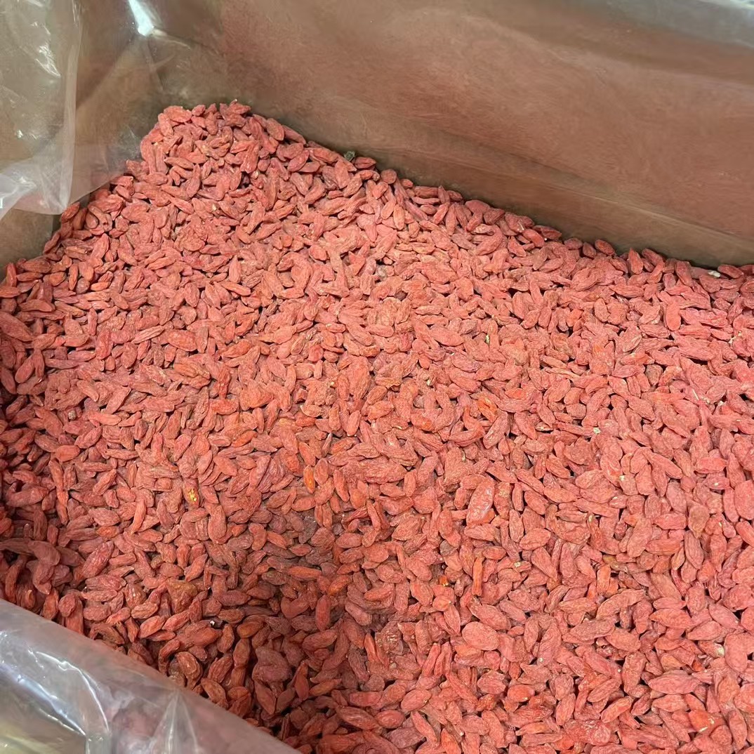 Dried Goji Berries Ningxia Premium Grade Large Fruit 250g Bag - Image 4