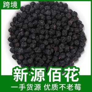 Aronia Berry Dried Fruit (Aronia melanocarpa) — 不老莓 Herbal Tea & Wellness Ingredient
