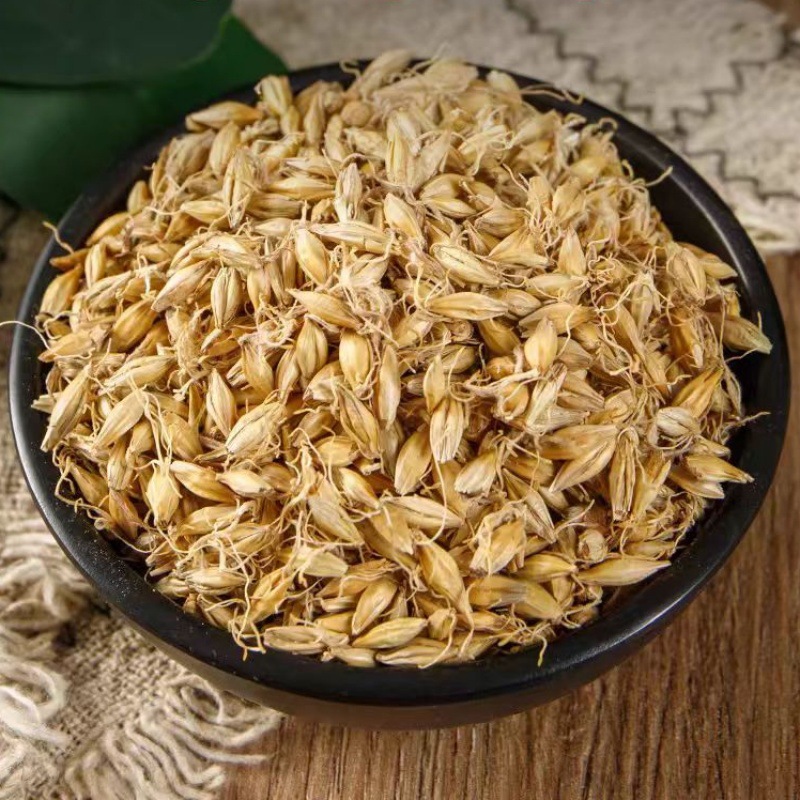 Malt (Hordeum vulgare) — Dried Food-Herb Barley Sprout, 500g - Image 2