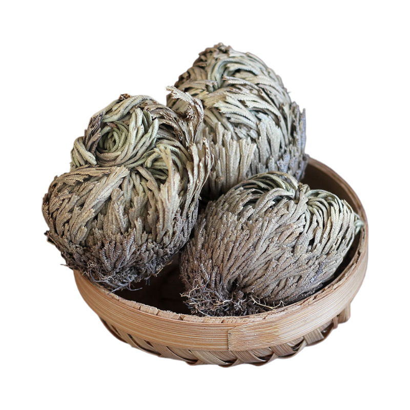 Dried Selaginella Herb Juan Bai 500g Resurrection Plant Raw Chinese Herbal Tea Material - Image 5