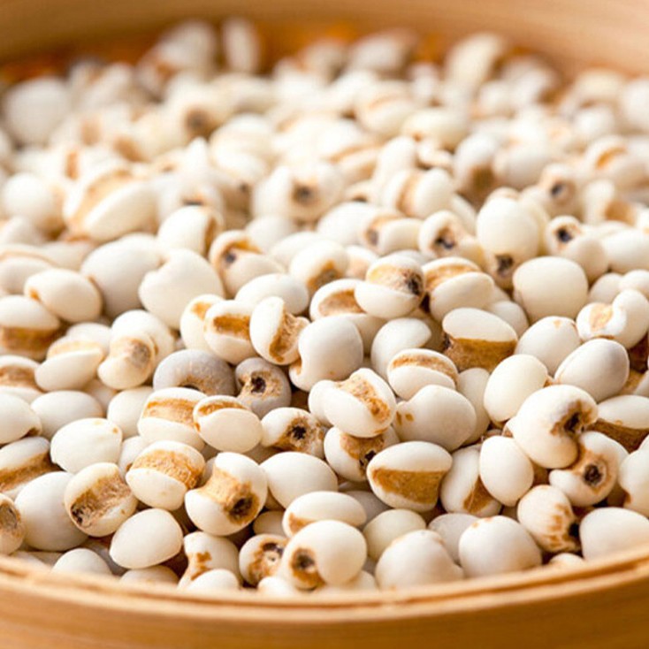 Dried Coix Seed 500g Yi Mi Ren Job's Tears Grain for Soup and Congee - Image 3