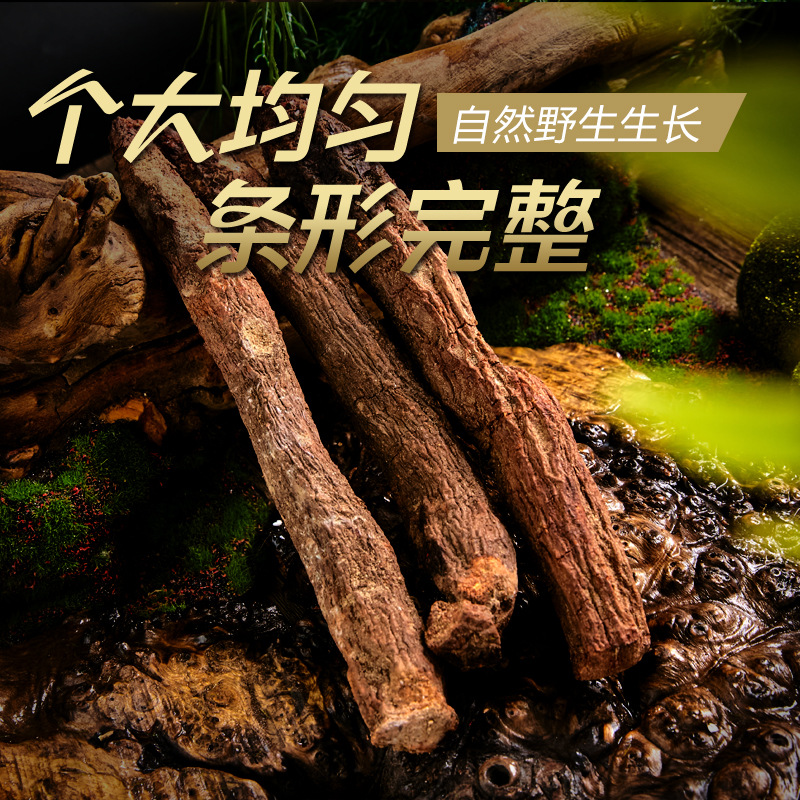 Dried Cynomorium Songaricum Whole Roots Suo Yang 500g Warming Herbal Tonic for Tea and Soup - Image 2