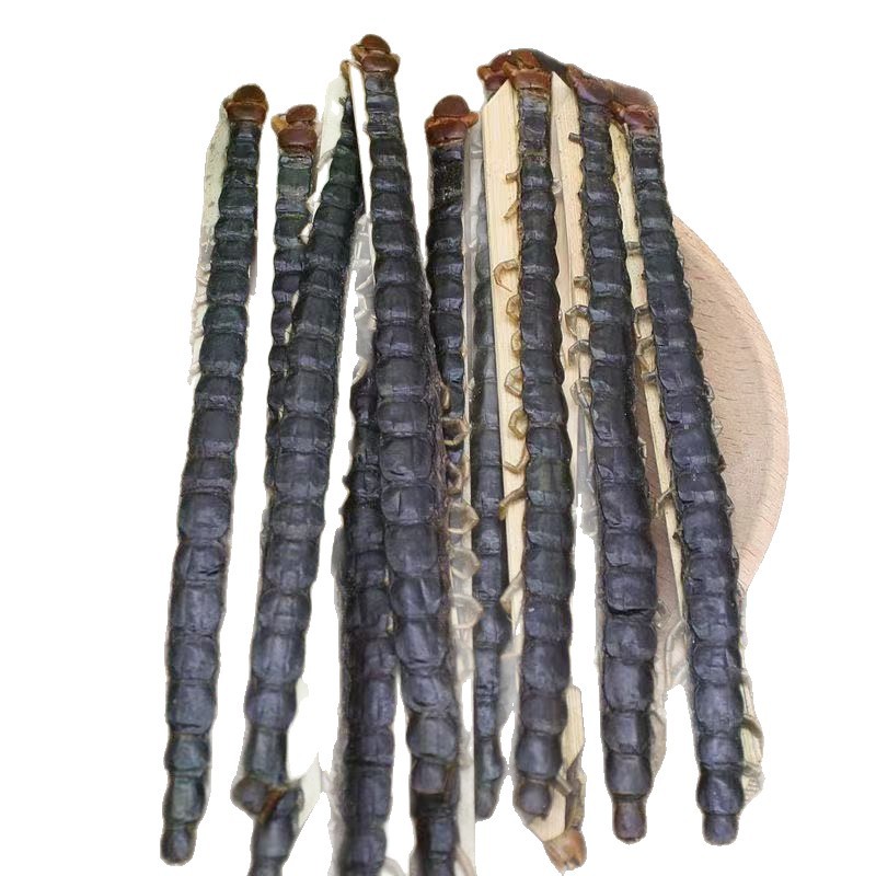 Dried Centipede Wu Gong Whole Herb Traditional TCM Ingredient Various Sizes Wholesale - Image 5