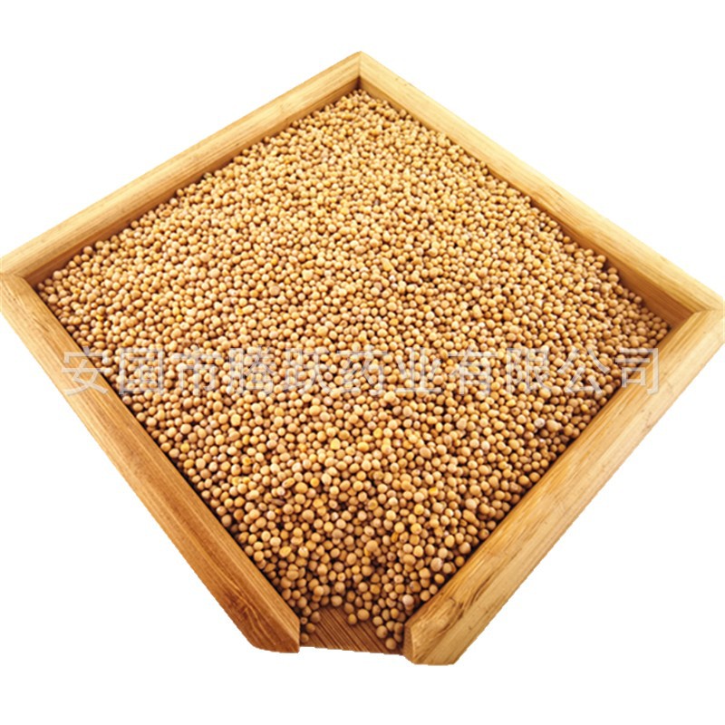 White Mustard Seed Bai Jie Zi 白芥子 Dried Sinapis Alba Seeds Traditional TCM Herb 1kg Bag - Image 5
