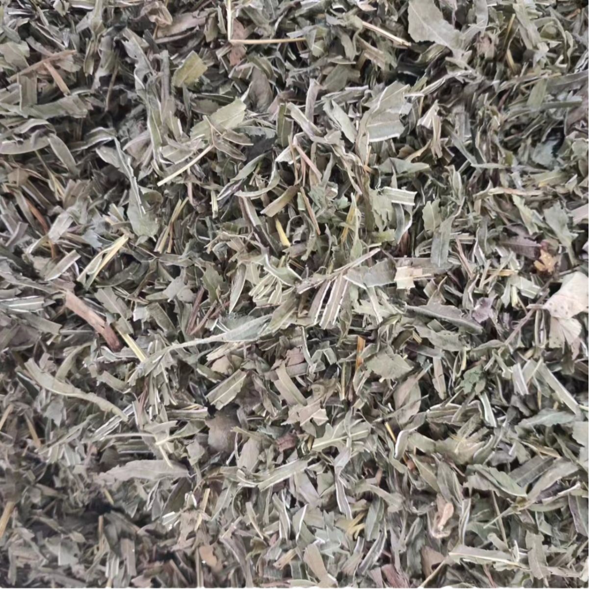 Feng Wei Cao (Pteris multifida) — Dried Chinese Herb, Powder Option, 500g - Image 5
