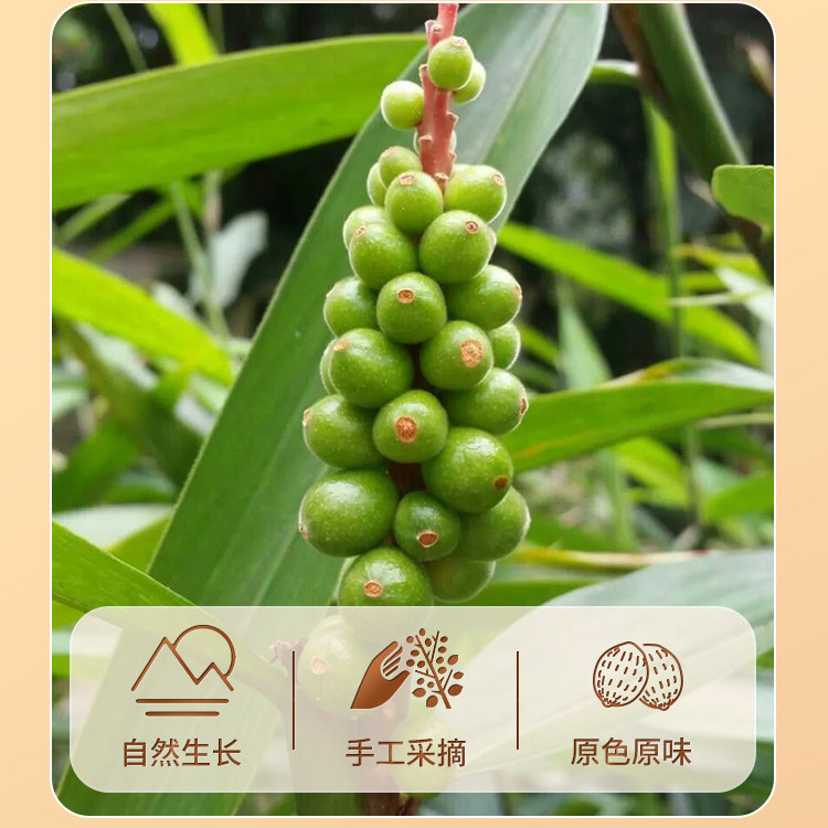 Yi Zhi Ren Dried Alpinia Oxyphylla Fruit 500g Traditional Chinese Herb for Tea and Decoction - Image 2