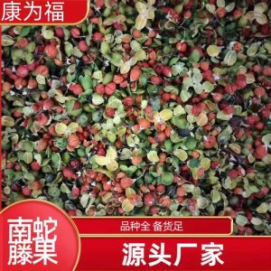 Nan She Teng Guo (Celastrus orbiculatus) — Dried Oriental Bittersweet Fruit for Herbal Tea & Powder