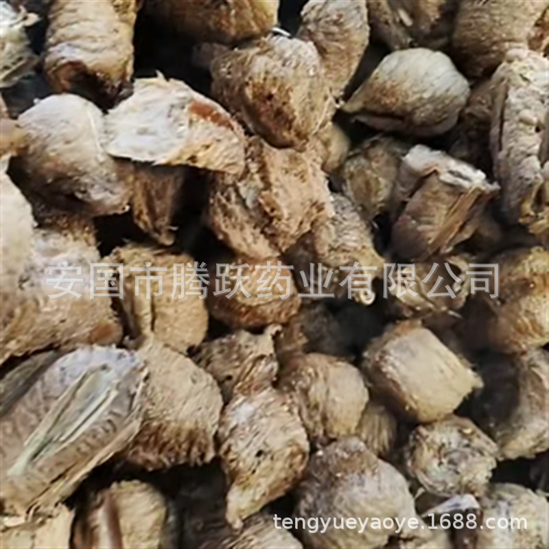 Sang Piao Xiao Mantis Egg Case 500g Dried Chinese Herb for Decoction Use - Image 4