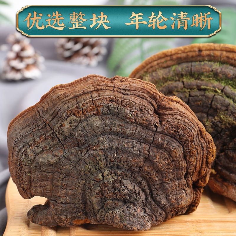 Sang Huang Mulberry Yellow Phellinus Mushroom with Ling Zhi Slices Herbal Tea Set 125g Plus 40g Jars - Image 3